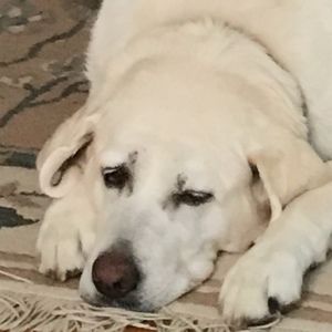 Meet your Posher, Johanne